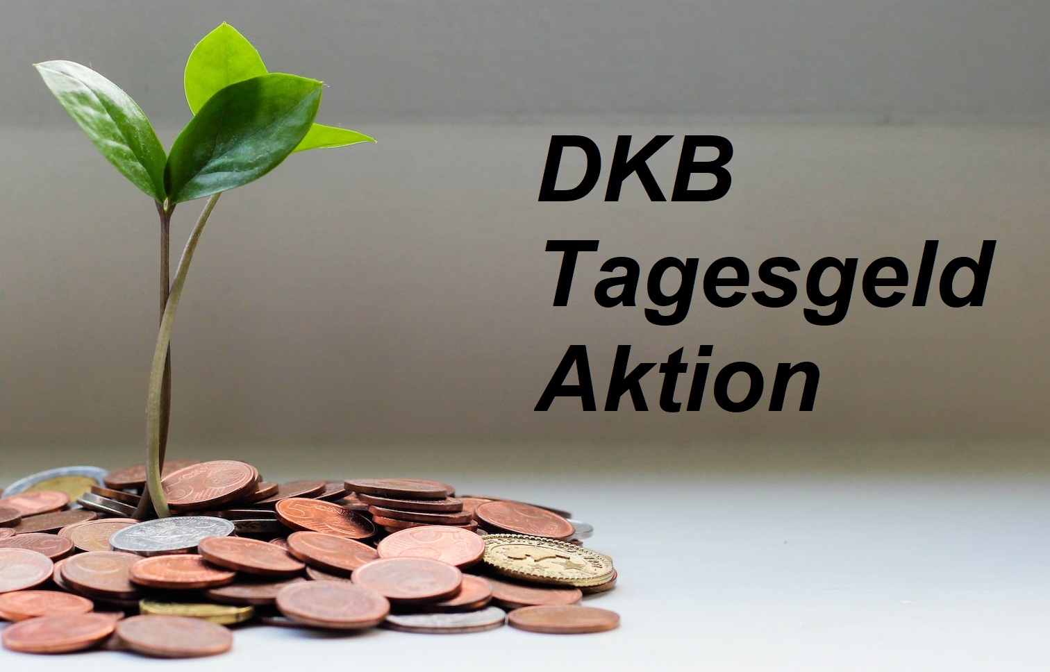 Zinserhöhung bei DKB Tagesgeld